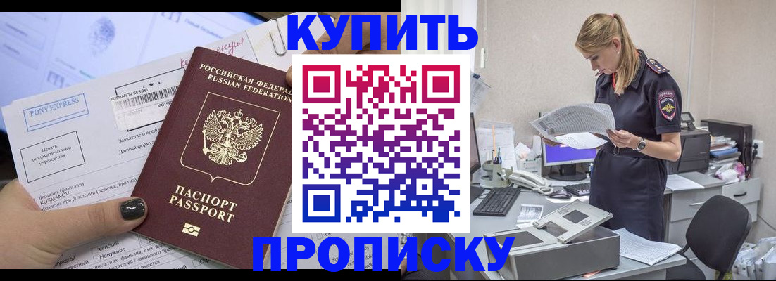 временная регистрация поиск в Коле